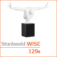 De woonkamer - Standbeeld WISE